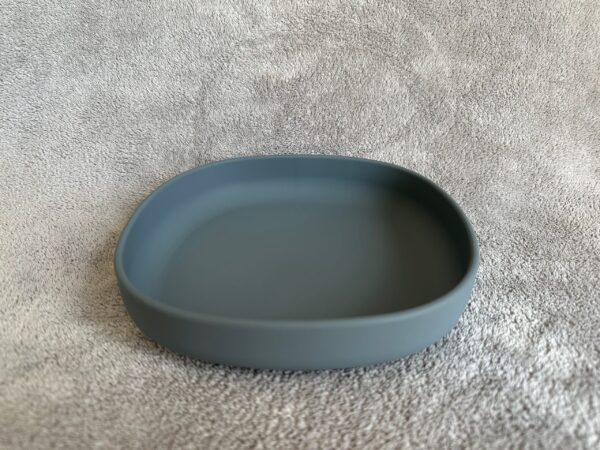 SLEPLT #dimgrey