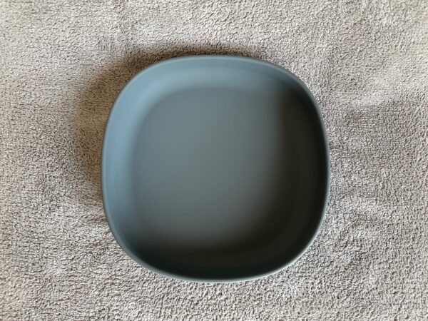 SLEPLT #dimgrey - Image 2