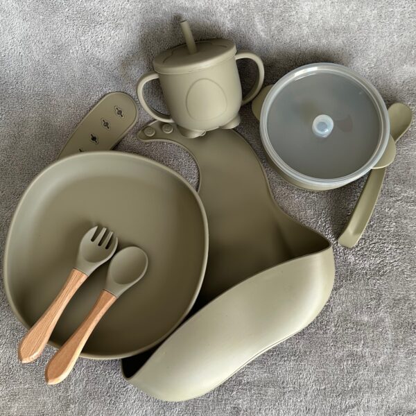 SLEPLSET #silversage