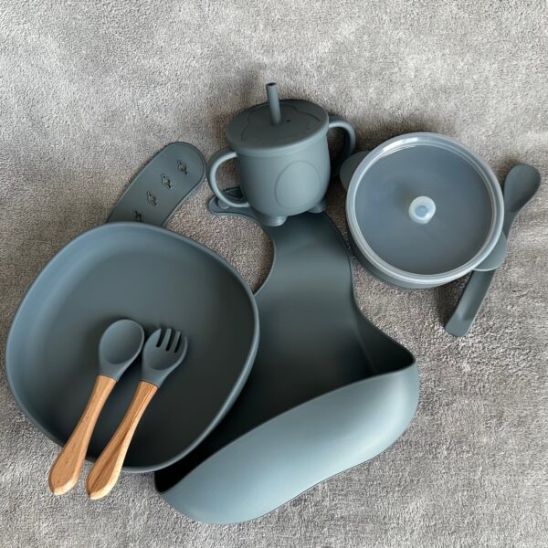 SLEPLSET #dimgrey