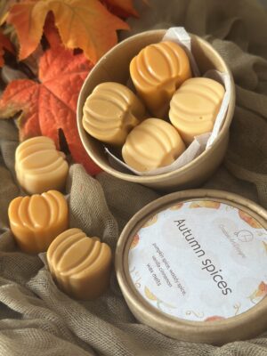 Autumn Spices Wax Melts #8pieces